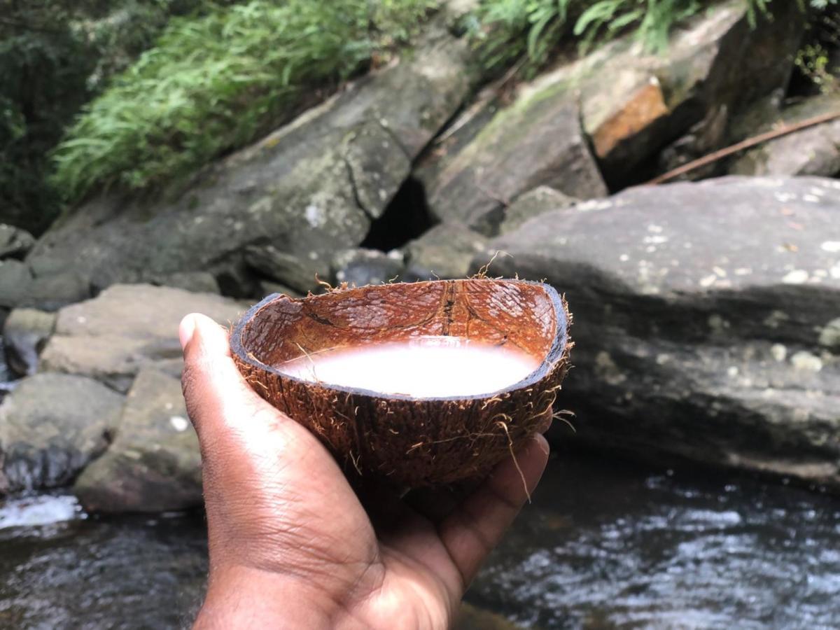 Palabaddala Tea And Eco Lodge Ratnapura Esterno foto