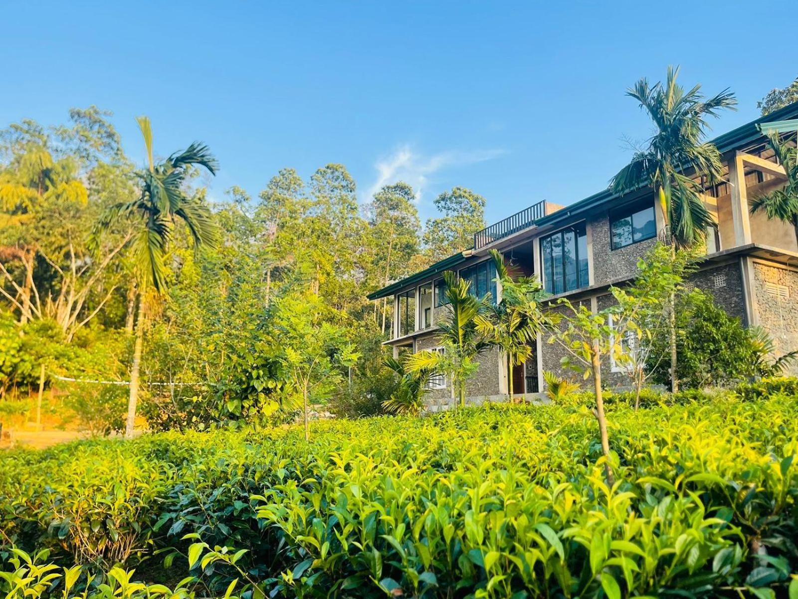 Palabaddala Tea And Eco Lodge Ratnapura Esterno foto