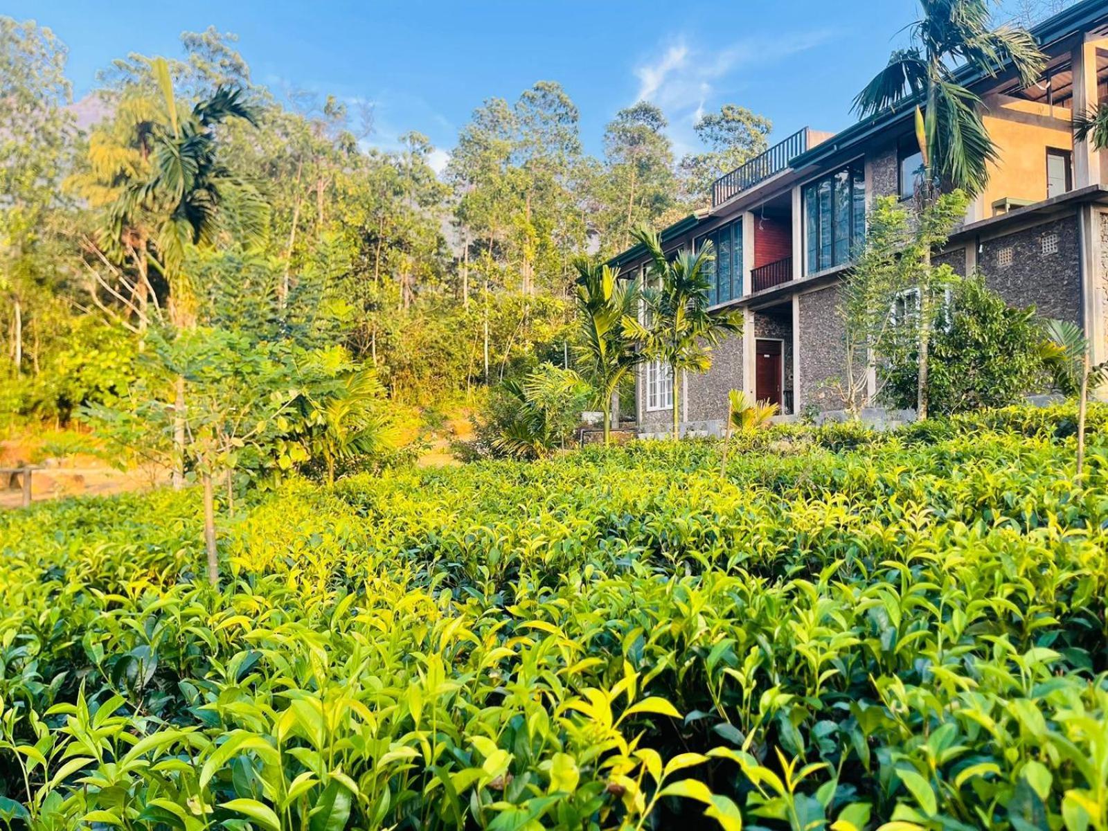 Palabaddala Tea And Eco Lodge Ratnapura Esterno foto