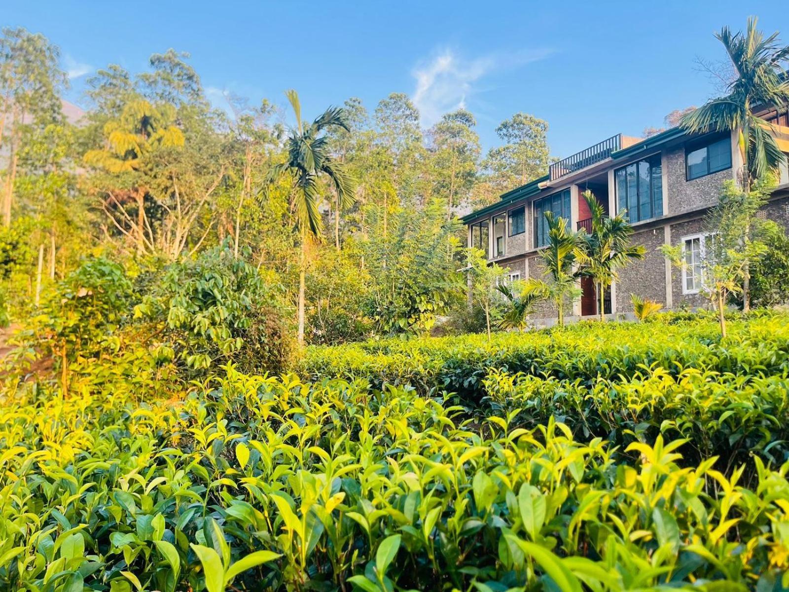 Palabaddala Tea And Eco Lodge Ratnapura Esterno foto